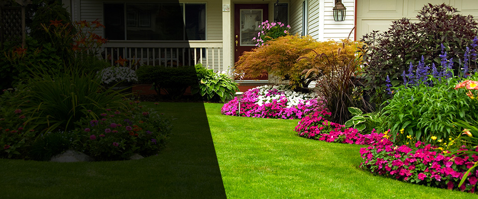 Graceville Landscapers