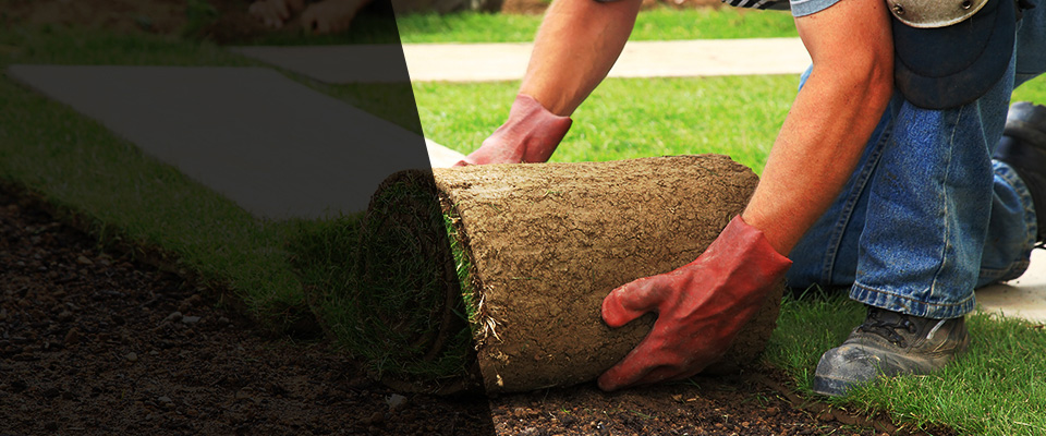 Graceville Landscapers